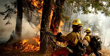 Severe Drought Raises Wildfire Risk in Pennsylvania and New Jersey