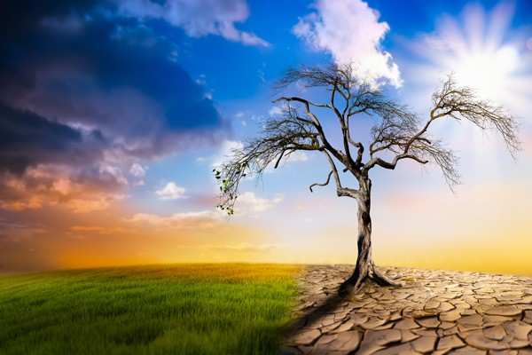 Why Is Climate Change Missing from America’s Top Threat List?