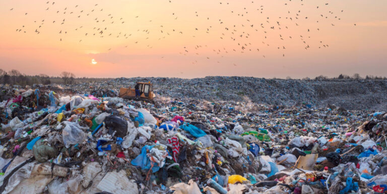 Plastic Pollution Reaches Alarming Levels as Seabirds Literally “Crunch” with Waste