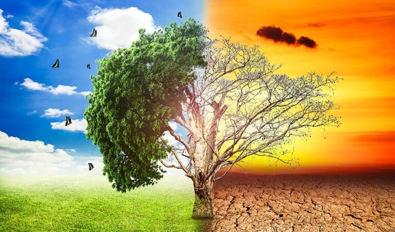 More Than 3,500 Animal Species Are Threatened By Climate Change