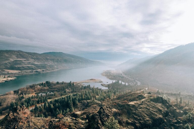 Wildfires Kill An Additional 15,000 People