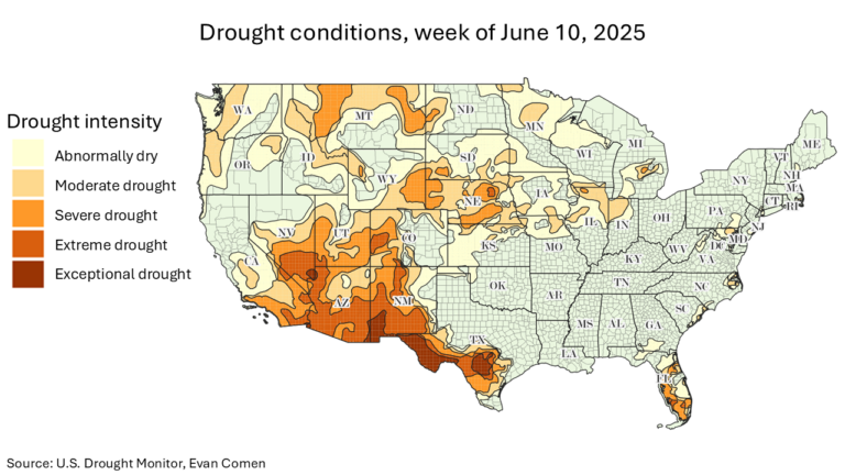 The 10 Cities Facing Emergency Drought Conditions, Water Crises