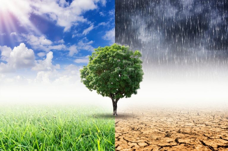 Climate Change Is Being Ignored As Risk To Children