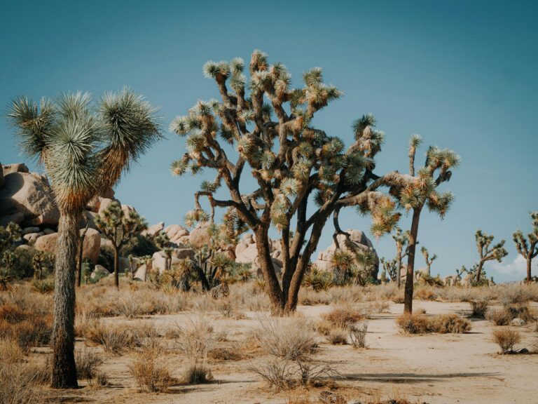 Flash Drought Is Latest Climate Danger