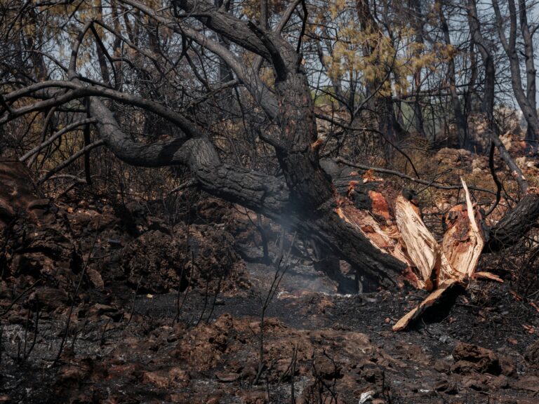 People Are Tired Of Climate News